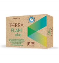 Terra Flam Plus